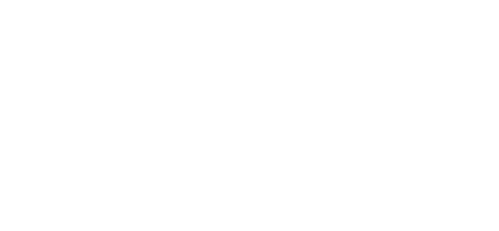 Furya Logo